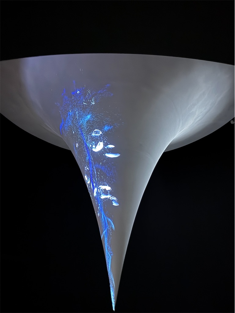 f:id:hiraryo0201:20250815072626j:image f:id:hiraryo0201:20250815072626j:image