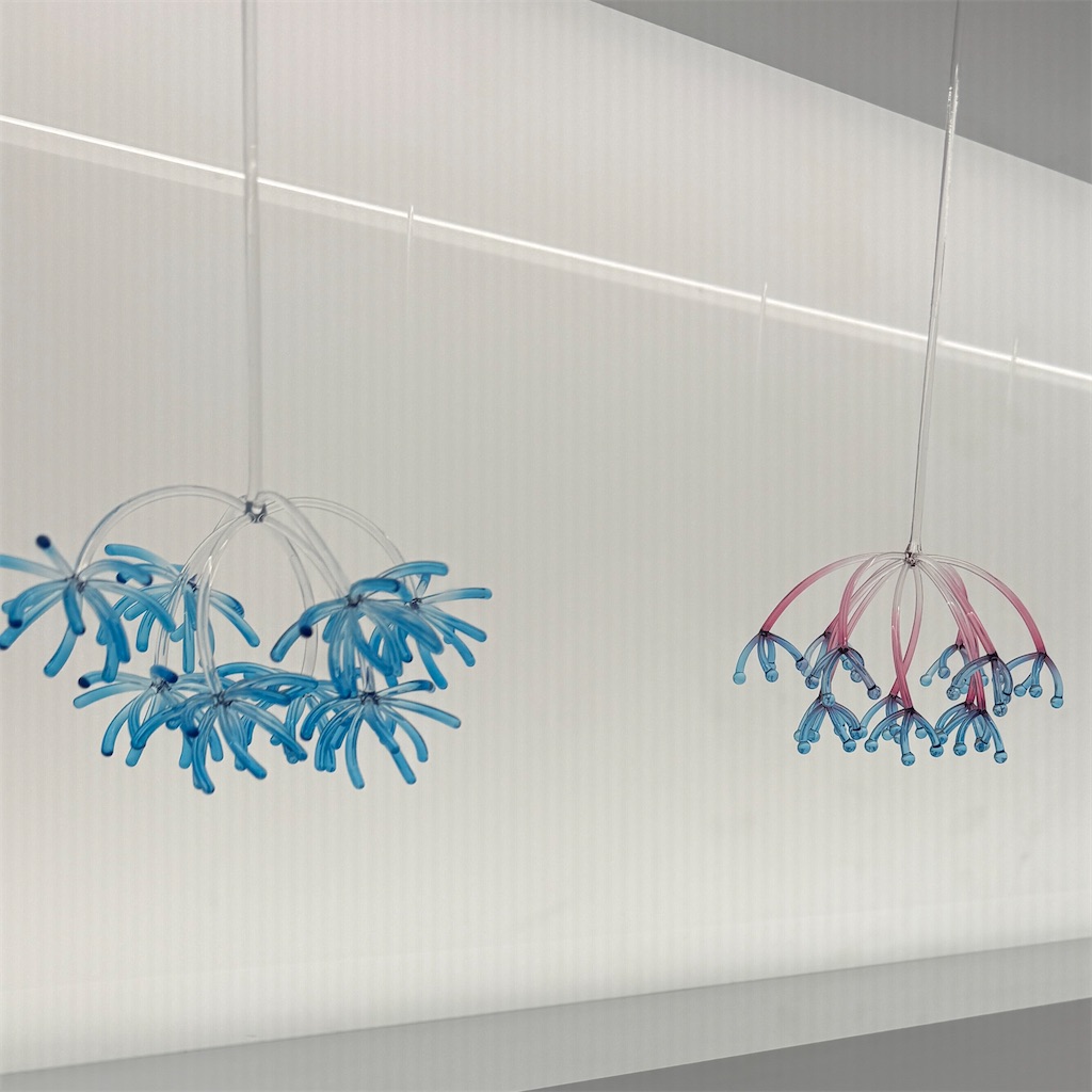 f:id:hiraryo0201:20250815073315j:image f:id:hiraryo0201:20250815073315j:image