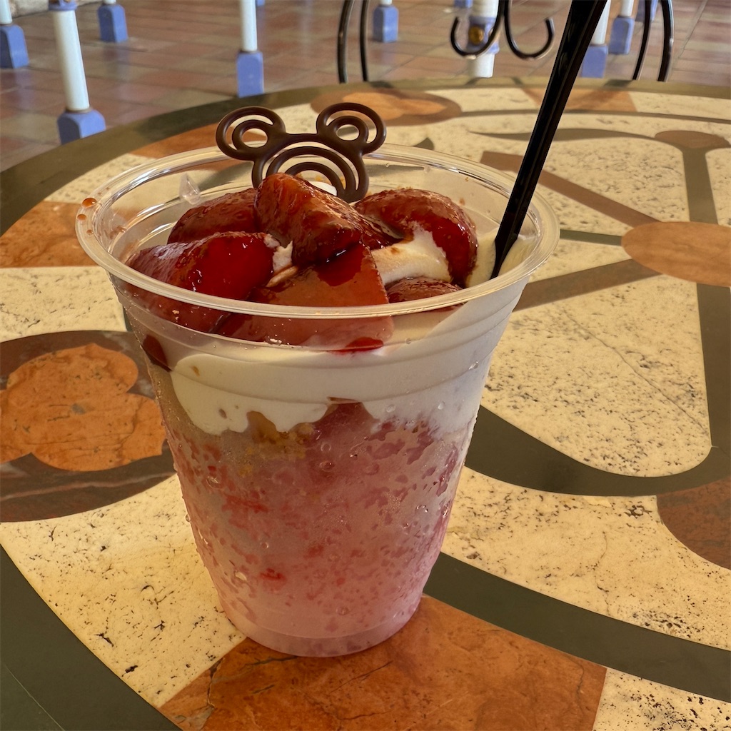 f:id:hiraryo0201:20250908215645j:image