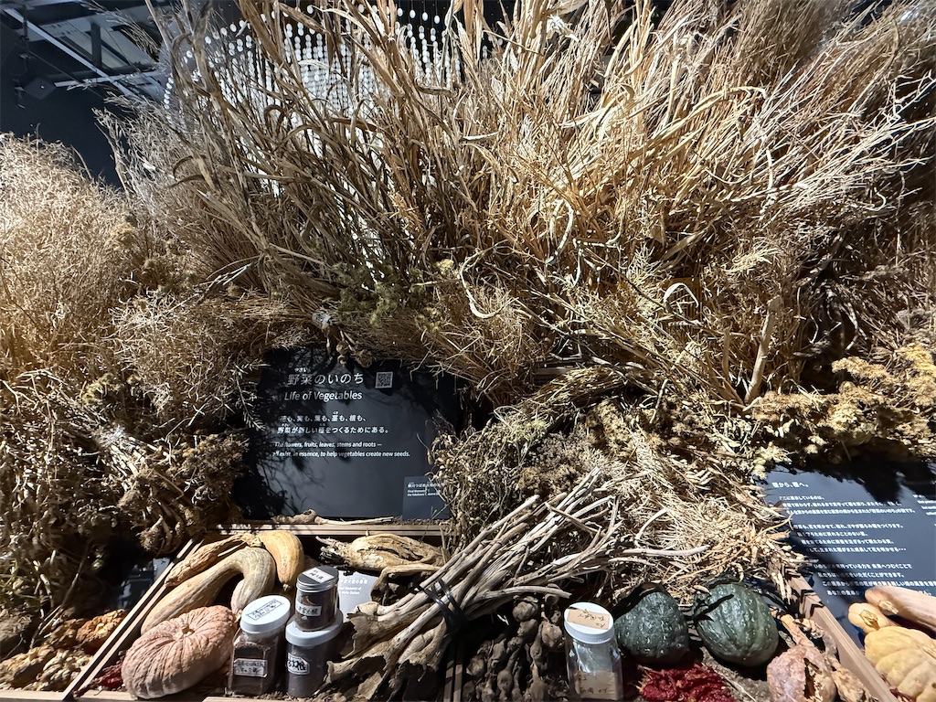 f:id:hiraryo0201:20250921211855j:image f:id:hiraryo0201:20250921211855j:image