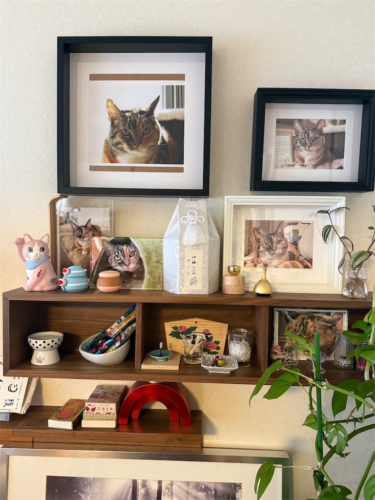 f:id:hiraryo0201:20250923162437j:image f:id:hiraryo0201:20250923162437j:image