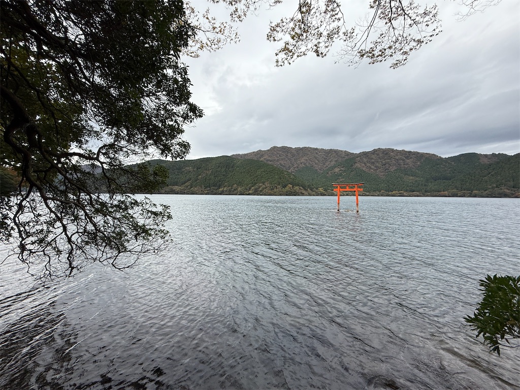 f:id:hiraryo0201:20251104170055j:image f:id:hiraryo0201:20251104170055j:image