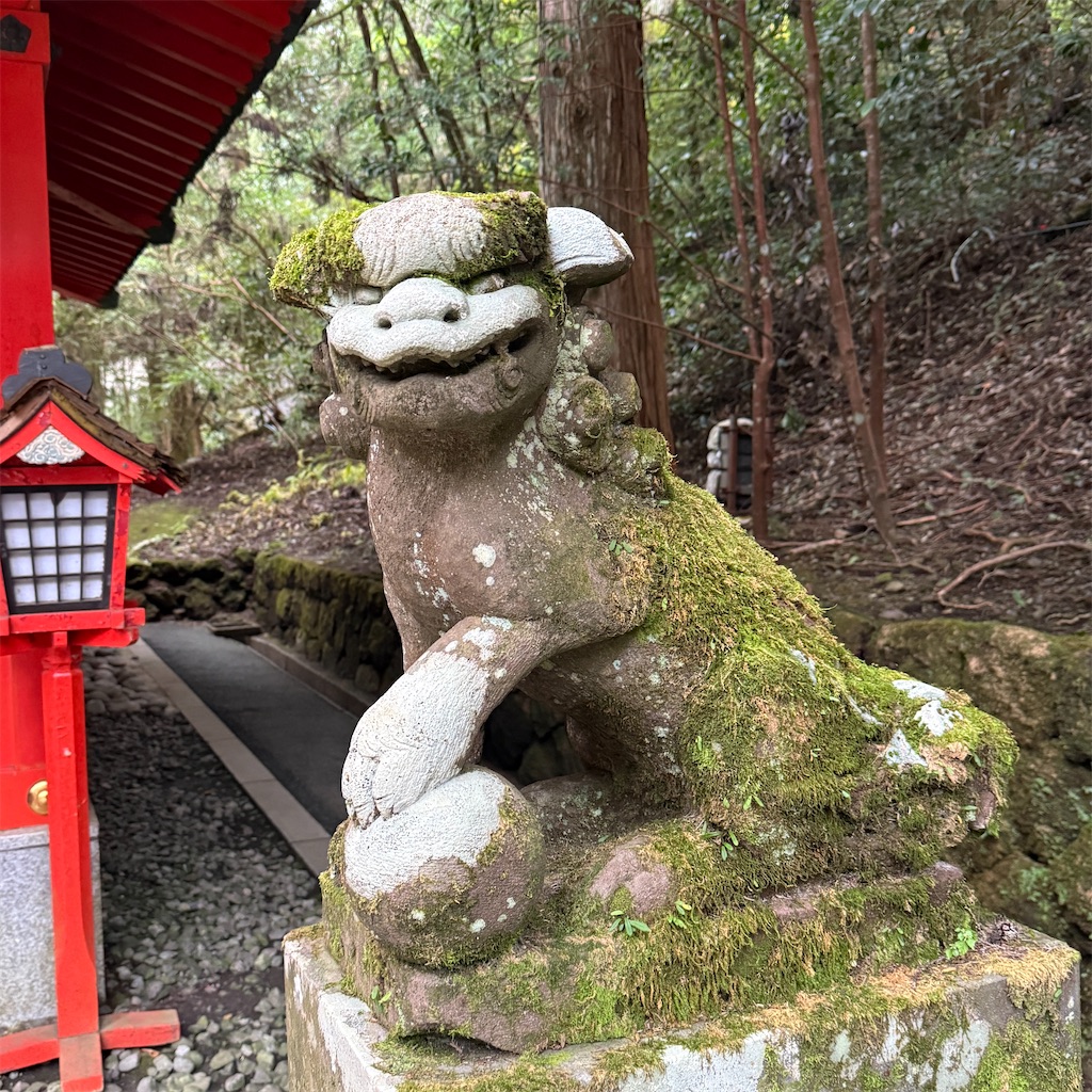 f:id:hiraryo0201:20251104170130j:image f:id:hiraryo0201:20251104170130j:image