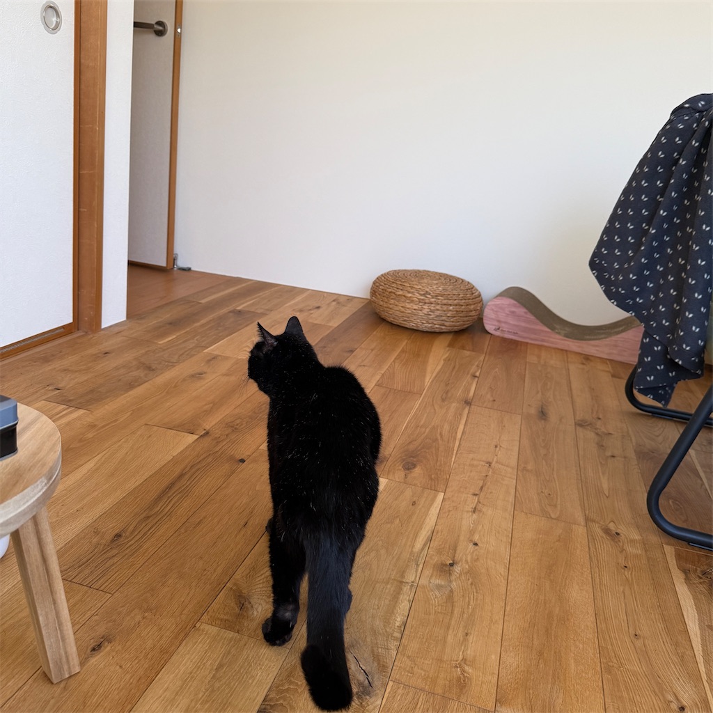 f:id:hiraryo0201:20251125193120j:image f:id:hiraryo0201:20251125193120j:image