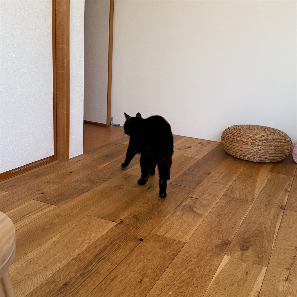 f:id:hiraryo0201:20251125193151j:image f:id:hiraryo0201:20251125193151j:image