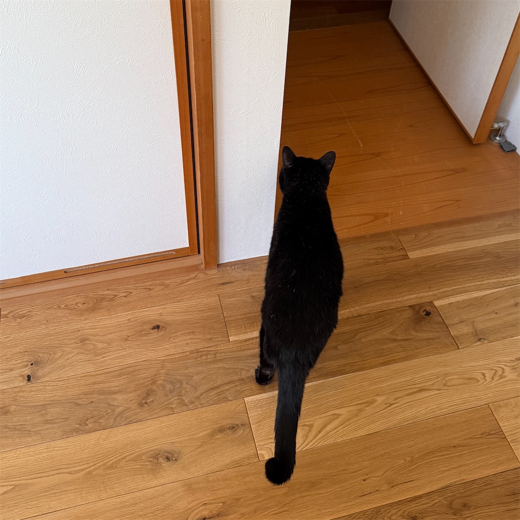 f:id:hiraryo0201:20251125193231j:image f:id:hiraryo0201:20251125193231j:image