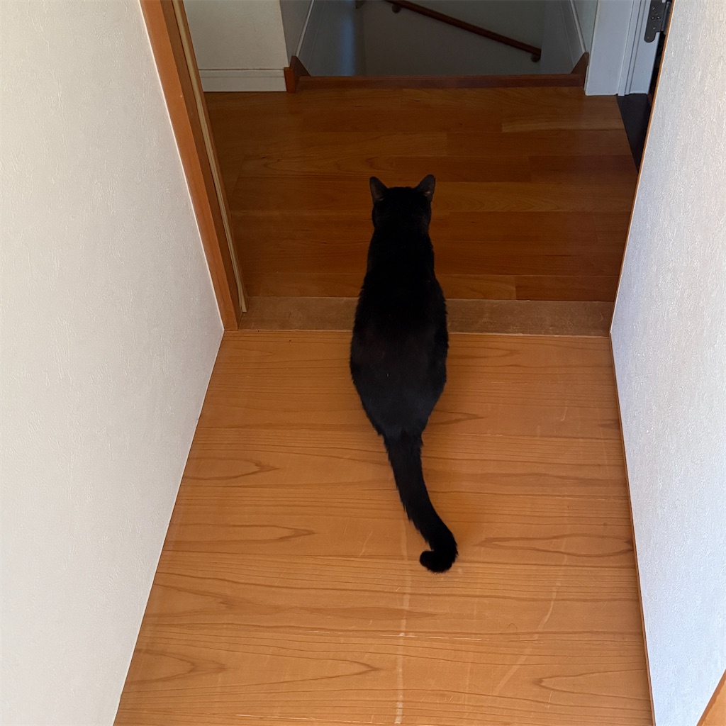 f:id:hiraryo0201:20251125193407j:image f:id:hiraryo0201:20251125193407j:image