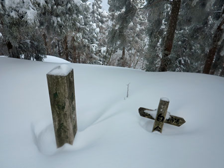 f:id:hirasankun:20150329223814j:plain