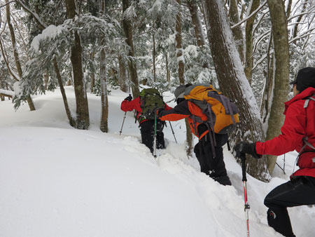 f:id:hirasankun:20150329223829j:plain