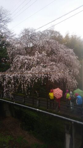 f:id:hirasankun:20150413080307j:plain