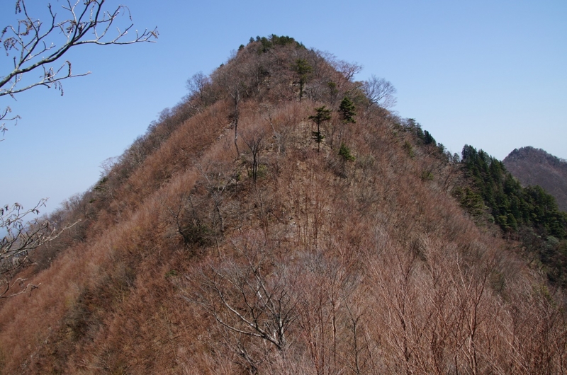 f:id:hirasankun:20150422064711j:plain