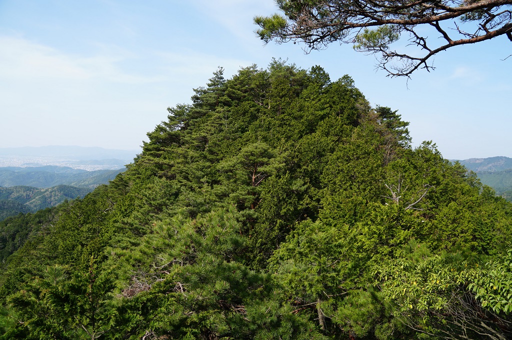 f:id:hirasankun:20180429201134j:plain