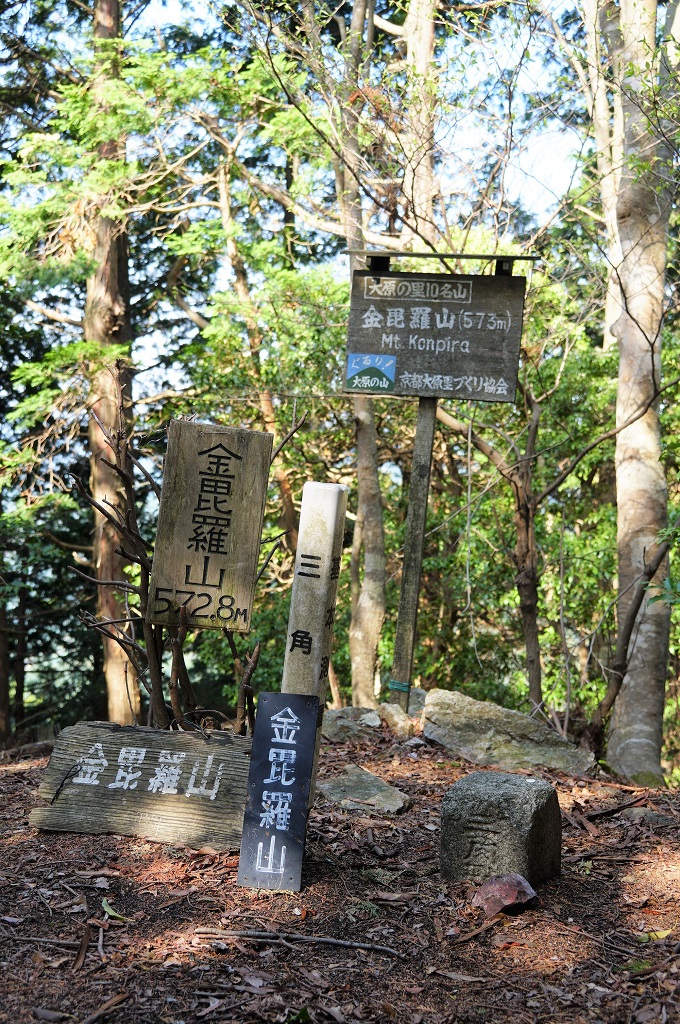 f:id:hirasankun:20180429201152j:plain