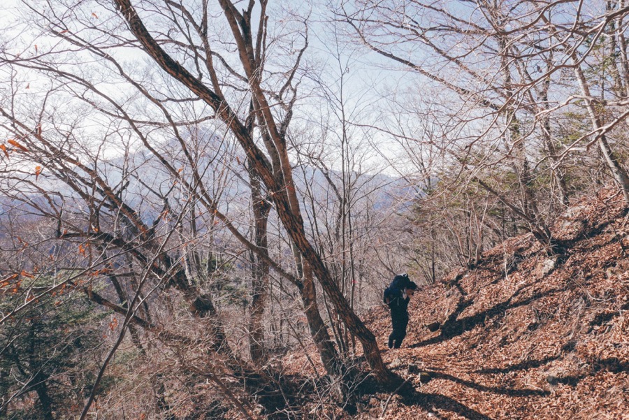 f:id:hirasankun:20181216221426j:plain f:id:hirasankun:20181216221426j:plain