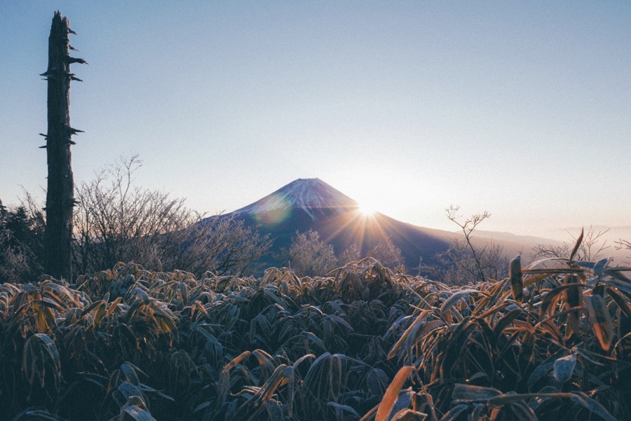 f:id:hirasankun:20181216222100j:plain f:id:hirasankun:20181216222100j:plain