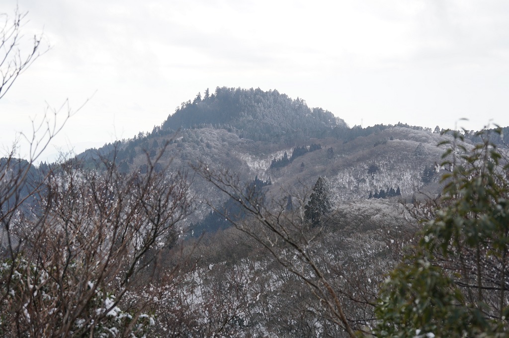f:id:hirasankun:20190121095342j:plain f:id:hirasankun:20190121095342j:plain
