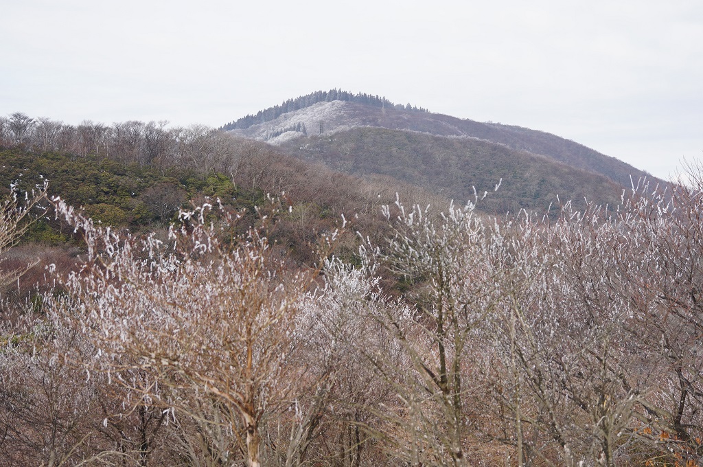 f:id:hirasankun:20190121095441j:plain f:id:hirasankun:20190121095441j:plain
