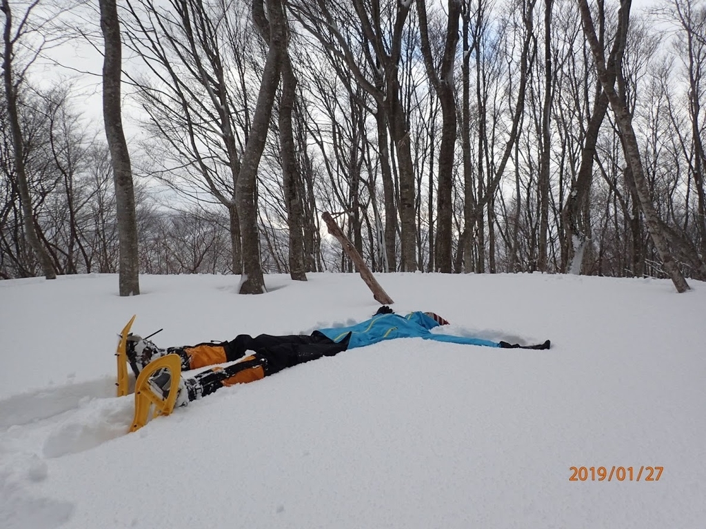 f:id:hirasankun:20190204092232j:plain