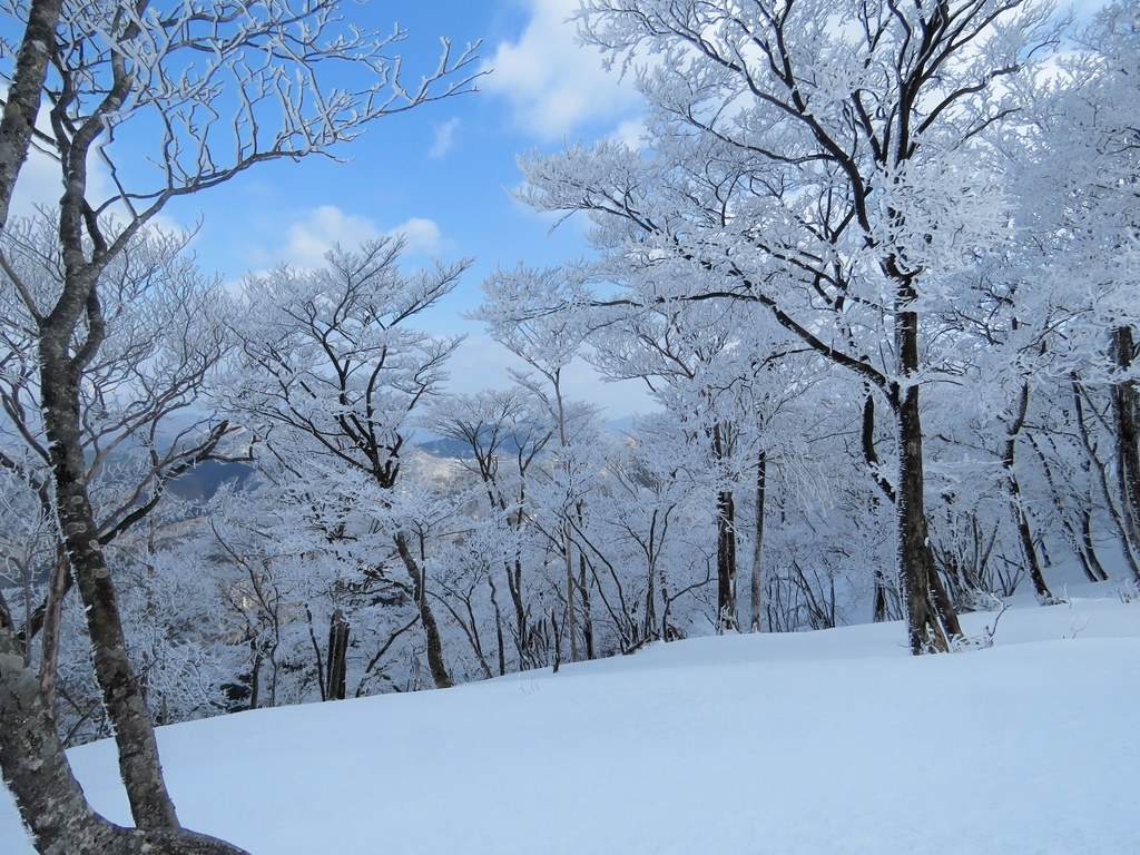 f:id:hirasankun:20190224223612j:plain