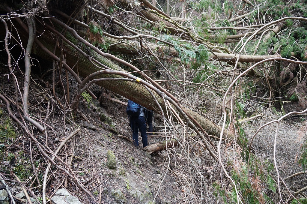 f:id:hirasankun:20190403114728j:plain