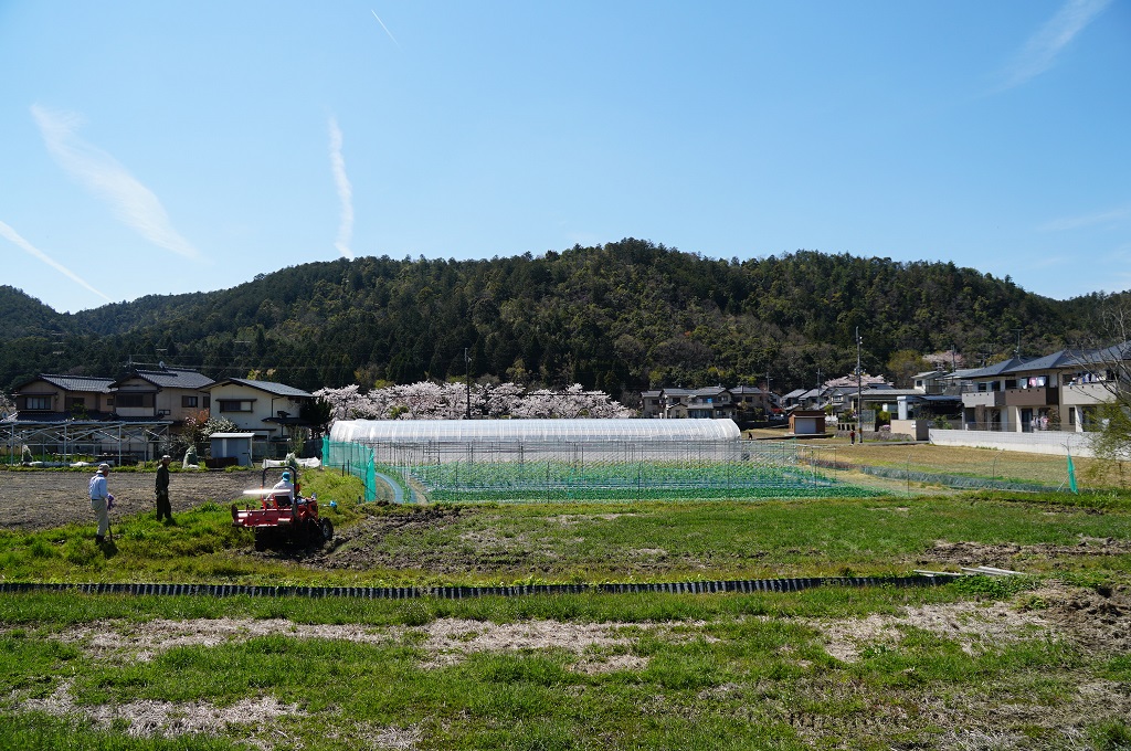 f:id:hirasankun:20190416141755j:plain