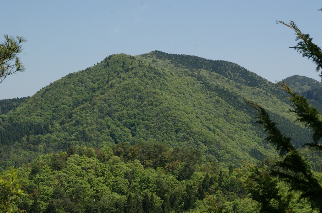 f:id:hirasankun:20190512222123j:plain