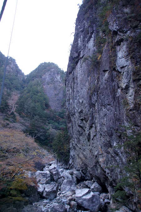 20141122大台ヶ原山3