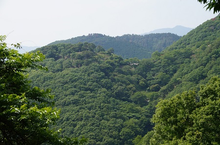 20130608妙見山3