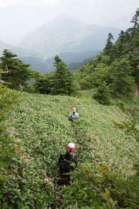 DSC_1286-1.jpg