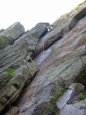 f:id:hirasankun:20190626013856j:plain f:id:hirasankun:20190626013856j:plain