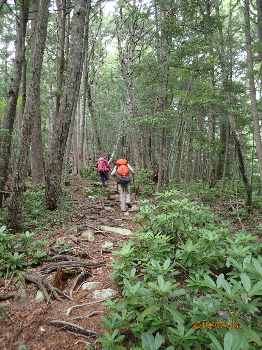 f:id:hirasankun:20190718132905j:plain f:id:hirasankun:20190718132905j:plain