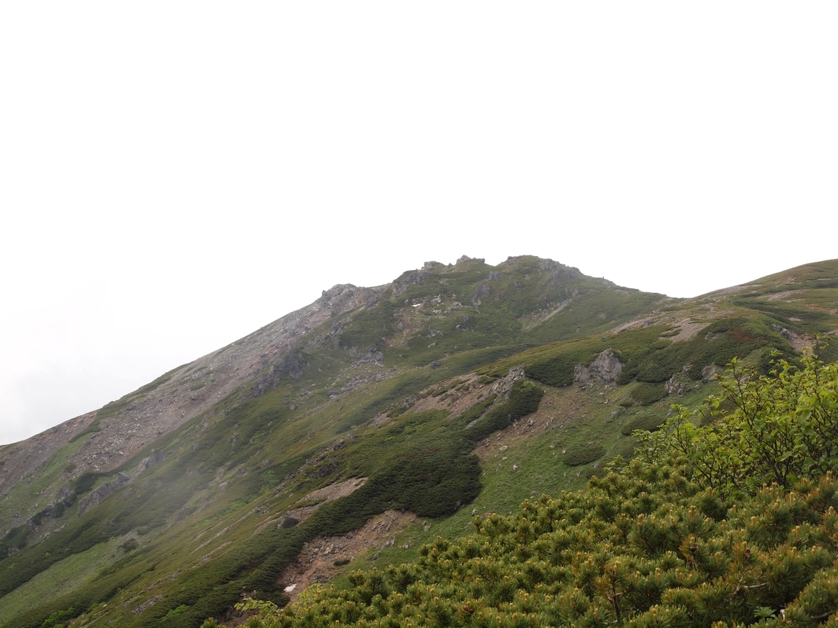 f:id:hirasankun:20190718132953j:plain f:id:hirasankun:20190718132953j:plain