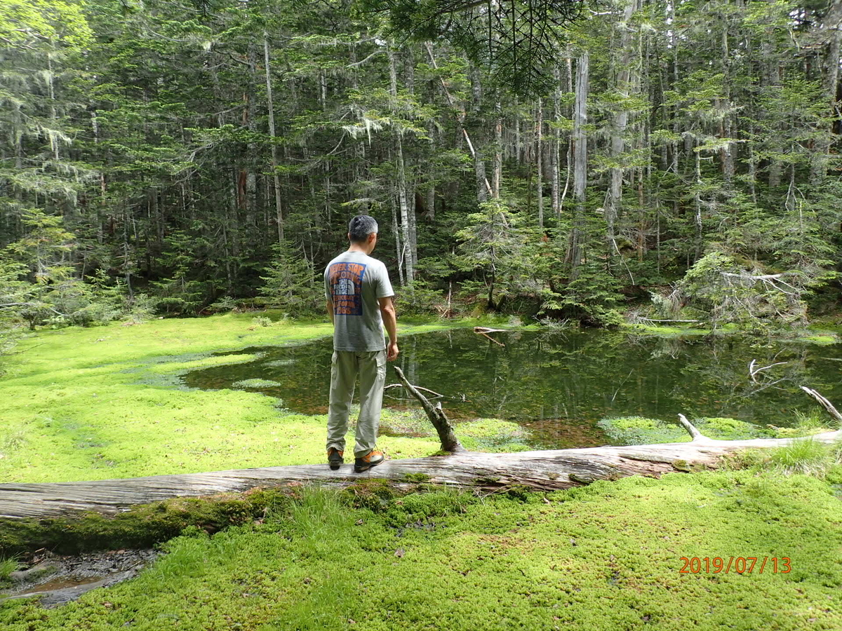 f:id:hirasankun:20190718133112j:plain f:id:hirasankun:20190718133112j:plain