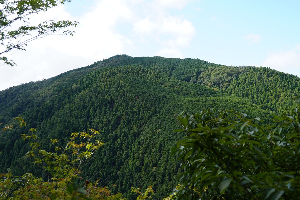 f:id:hirasankun:20191008114714j:plain f:id:hirasankun:20191008114714j:plain