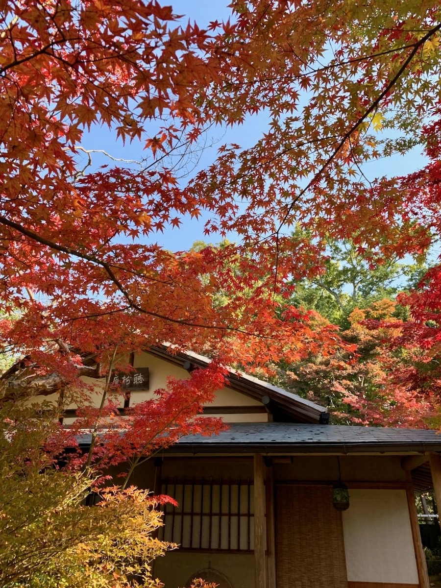 f:id:hirasankun:20191214133408j:plain