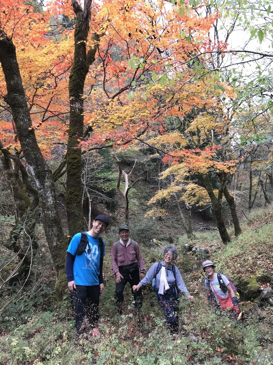 f:id:hirasankun:20210103183602j:plain