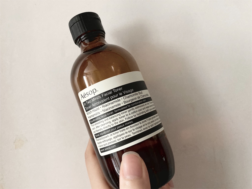 f:id:hirataikahono:20210623162008j:plain