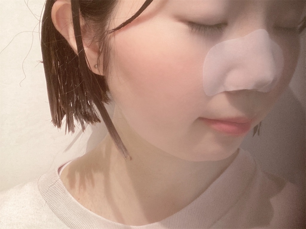 f:id:hirataikahono:20210805111821j:image