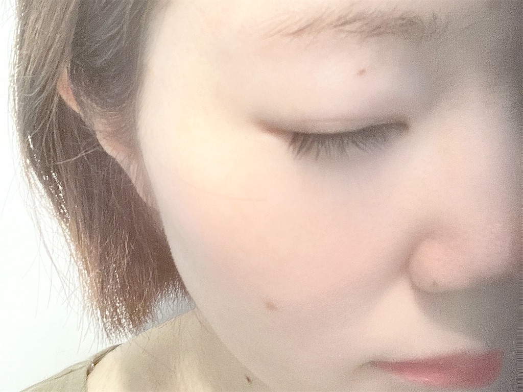 f:id:hirataikahono:20210810141233j:image