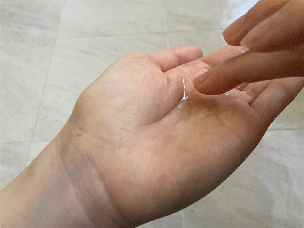 f:id:hirataikahono:20210927193811j:image