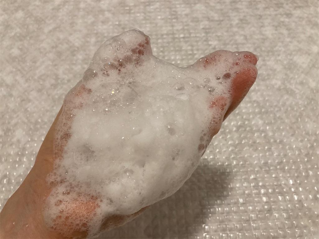 f:id:hirataikahono:20211007091237j:image