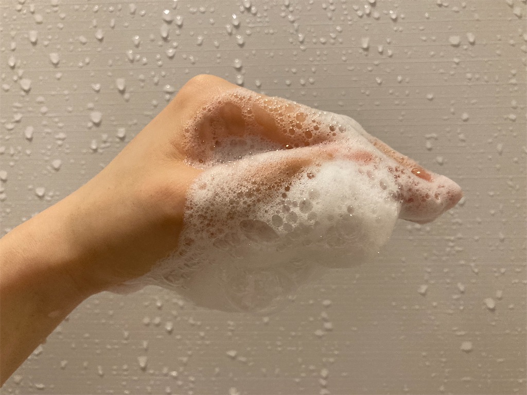 f:id:hirataikahono:20211007091358j:image