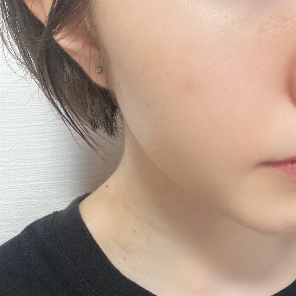 f:id:hirataikahono:20220801154206j:image