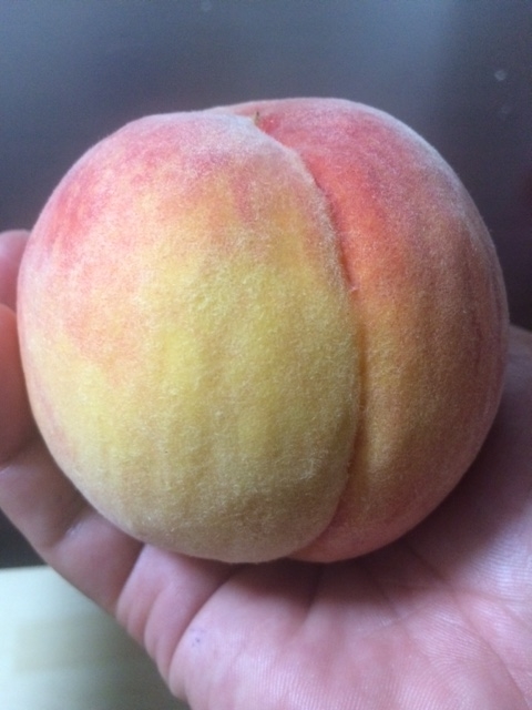 f:id:hiratakuieba:20180905190000j:plain