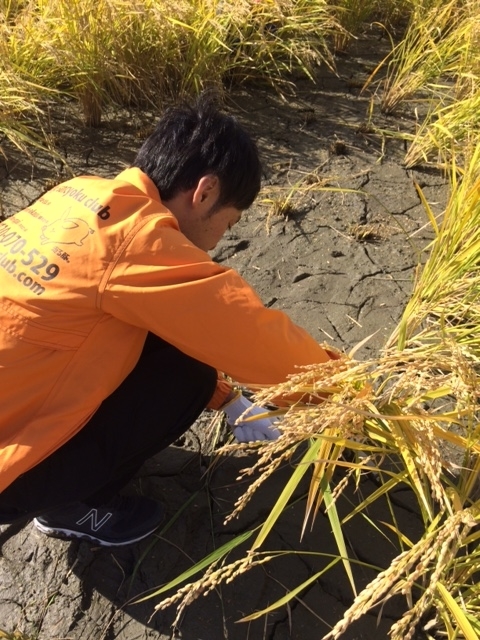 f:id:hiratakuieba:20181029084845j:plain