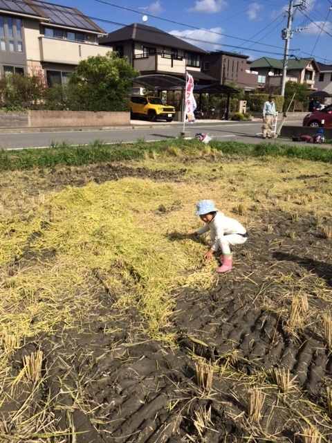f:id:hiratakuieba:20181029085108j:plain