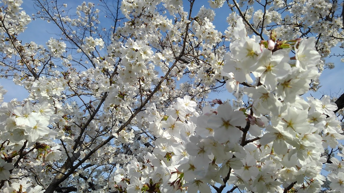 f:id:hiratea:20210327214314p:plain