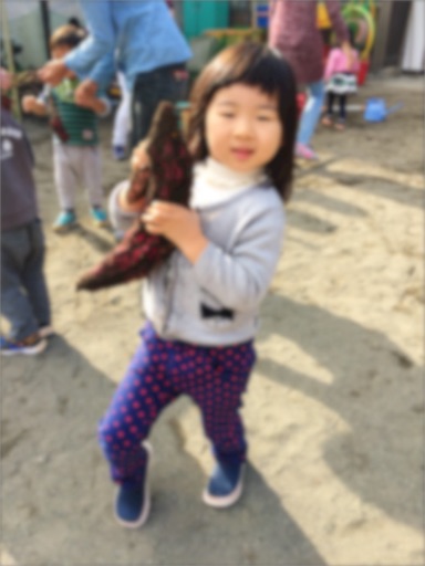 f:id:hiratsukafutaba:20161208151350j:image f:id:hiratsukafutaba:20161208151350j:image