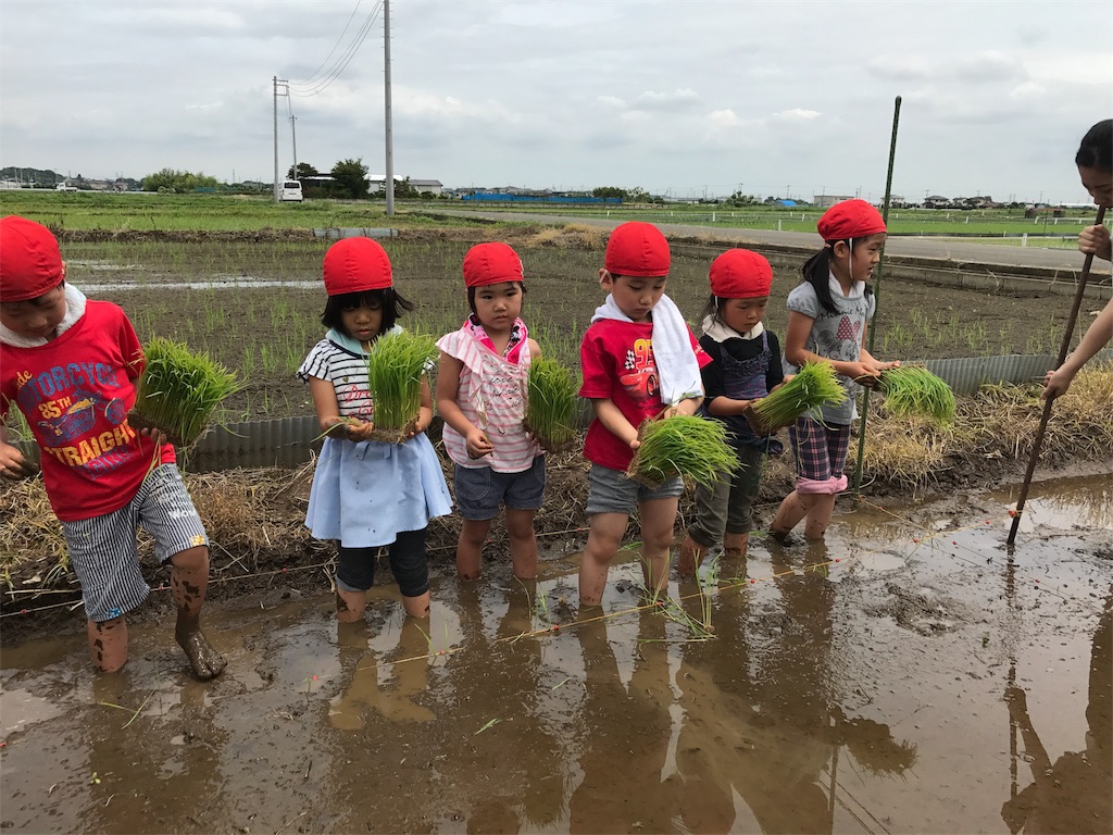 蘇我殿の田植え