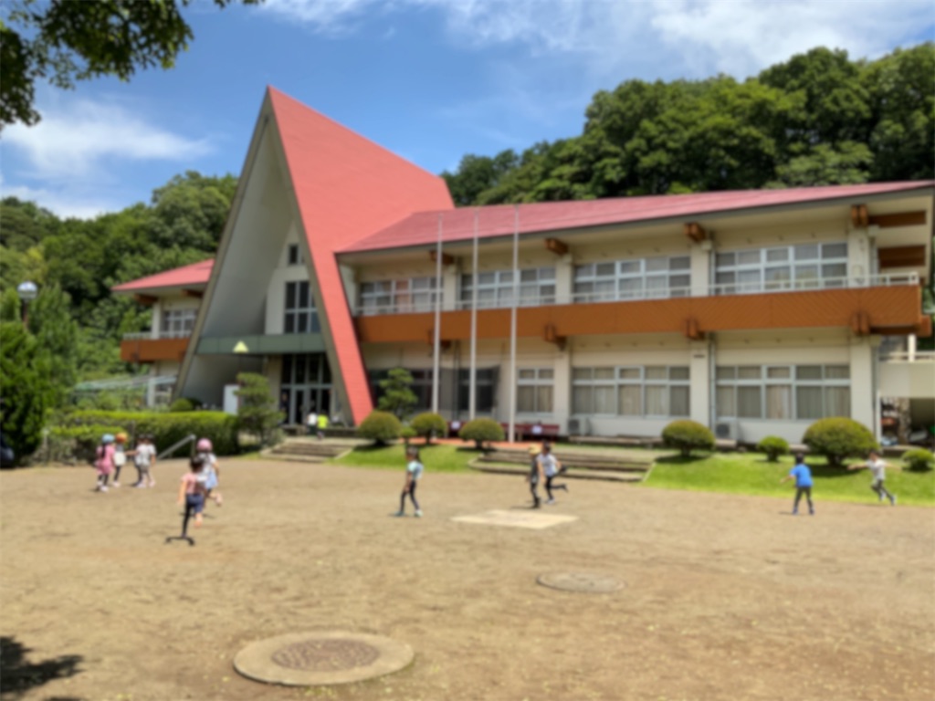 f:id:hiratsukafutaba:20200703012803j:image